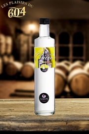 Cliquez sur l’image pour voir les détails du produit :Liqueur de Chicon 50 cl