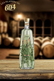 Cliquez sur l’image pour voir les détails du produit :Grappa Of Ruto Graveolens