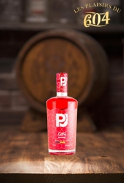 Cliquez sur l’image pour voir les détails du produit :PJ Gin raspberry 50cl