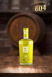 Cliquez sur l’image pour voir les détails du produit :PJ Gin Apple 50cl