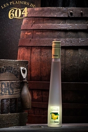 Cliquez sur l’image pour voir les détails du produit :Liqueur Poire Williams 20cl