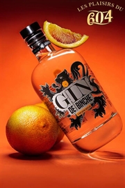 Cliquez sur l’image pour voir les détails du produit :Gin de Binche 70cl