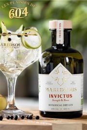 Cliquez sur l’image pour voir les détails du produit :Maredsous Invictus Gin Bio 50cl