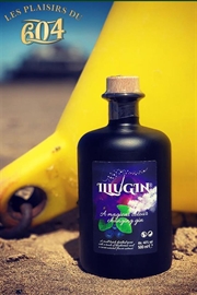 Cliquez sur l’image pour voir les détails du produit :Illugin Blueberry 50cl