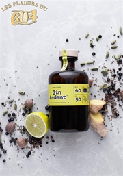 Cliquez sur l’image pour voir les détails du produit :Gin Ardent 50cl