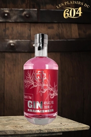 Cliquez sur l’image pour voir les détails du produit :Rammstein Pink Gin 70cl