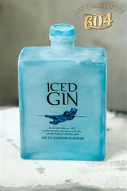Cliquez sur l’image pour voir les détails du produit :Iced Gin 50cl