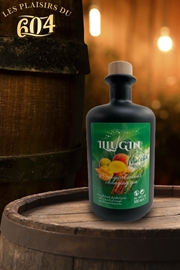 Cliquez sur l’image pour voir les détails du produit :Illugin Matcha 50cl