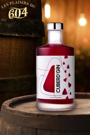 Cliquez sur l’image pour voir les détails du produit :Coffret Cuberd'Gin