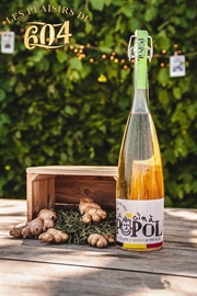 Cliquez sur l’image pour voir les détails du produit :Gin à PoPol Thym/Gingembre 50cl