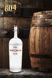 Cliquez sur l’image pour voir les détails du produit :Poli Marconi 46 Dry Gin 70cl