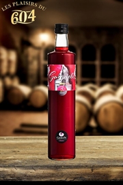 Cliquez sur l’image pour voir les détails du produit :Guignolet Kirsch 20cl