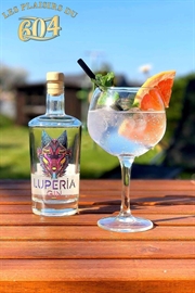 Cliquez sur l’image pour voir les détails du produit :Luperia Whisky Fut 2 Rhum 50cl