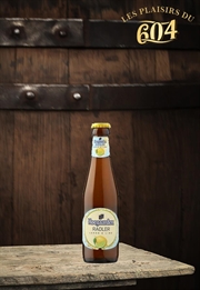 Cliquez sur l’image pour voir les détails du produit :Blanche radler lemon-Lime Hoegaarden 25cl