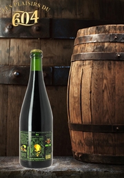 Cliquez sur l’image pour voir les détails du produit :Black Damnation 17 - Ben Bier 75cl