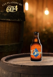 Cliquez sur l’image pour voir les détails du produit :Abbaye de Brogne Brune 33cl