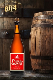 Cliquez sur l’image pour voir les détails du produit :Diole Blonde 33cl