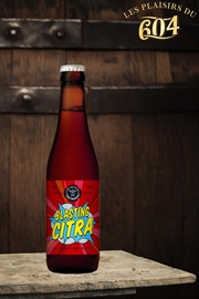 Cliquez sur l’image pour voir les détails du produit :Blasting Citra 33cl