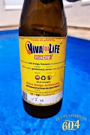 Cliquez sur l’image pour voir les détails du produit :BelgA BEER Viva for Life 33cl