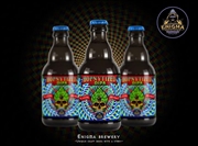 Cliquez sur l’image pour voir les détails du produit :Hopnytized DIPA 33cl