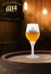 Cliquez sur l’image pour voir les détails du produit :Verre Mobius 33 cl