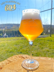 Cliquez sur l’image pour voir les détails du produit :Verre IPA Epik