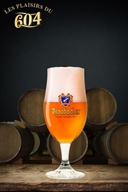 Cliquez sur l’image pour voir les détails du produit :Verre Troubadour 33cl