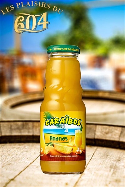 Cliquez pour agrandir