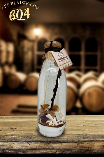 Cliquez pour agrandir