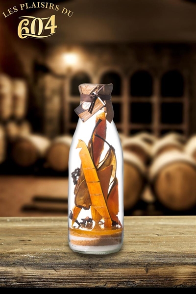 Cliquez pour agrandir