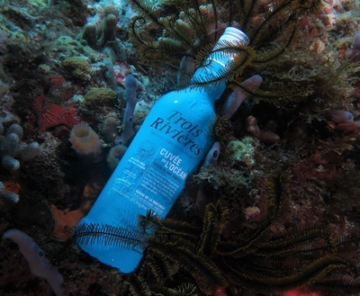 Cliquez pour agrandir