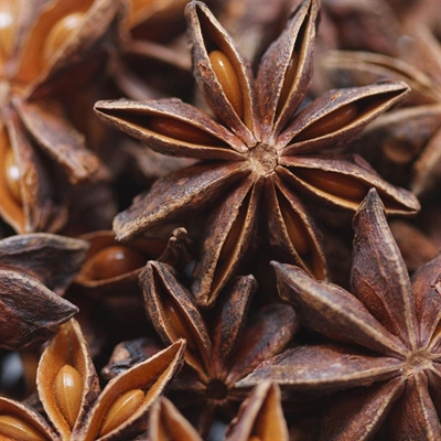 Cliquez pour agrandir