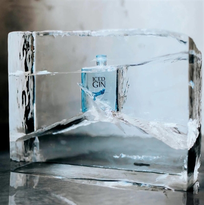 Cliquez pour agrandir