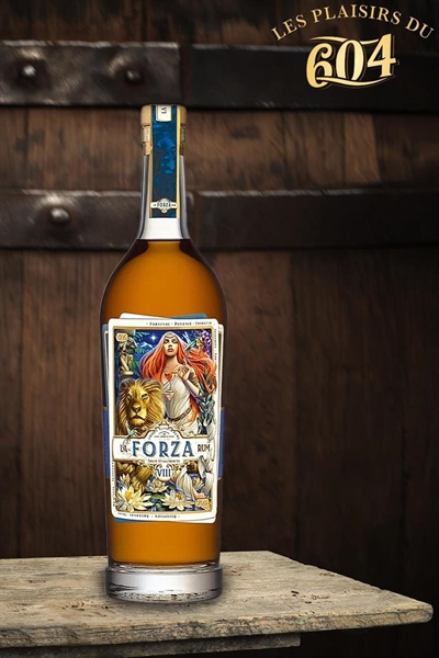 Cliquez pour agrandir