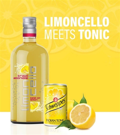 Cliquez pour agrandir