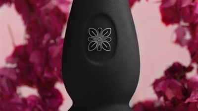 Cliquez pour agrandir