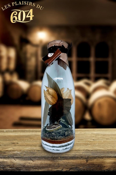 Cliquez pour agrandir