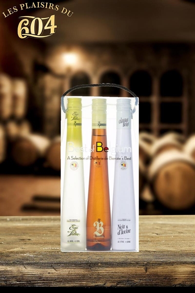 Cliquez pour agrandir