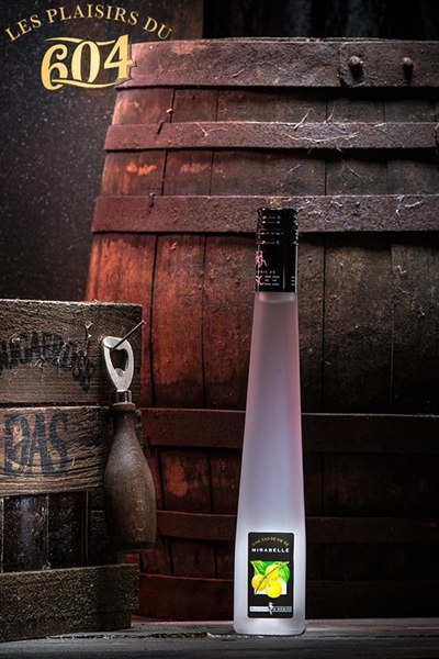 Cliquez pour agrandir