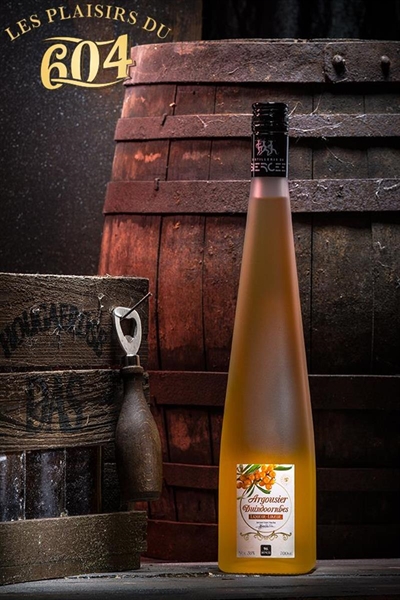 Cliquez pour agrandir