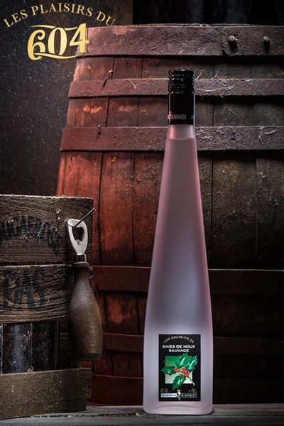 Cliquez pour agrandir