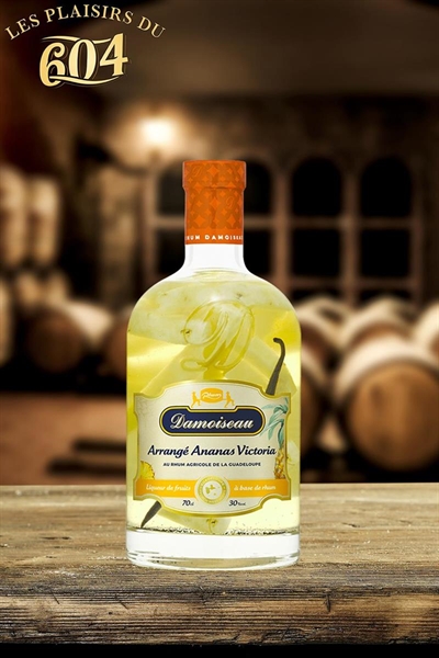 Cliquez pour agrandir