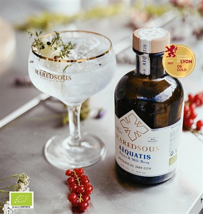 Cliquez pour agrandir