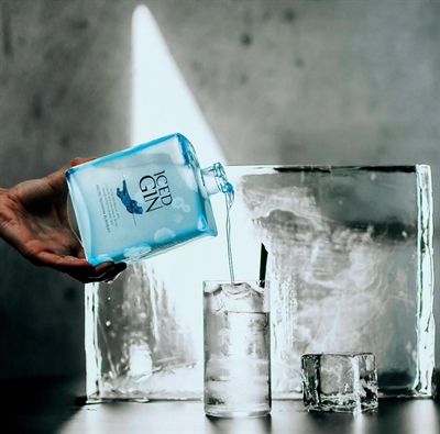 Cliquez pour agrandir