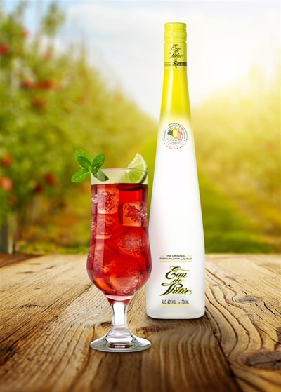 Cliquez pour agrandir