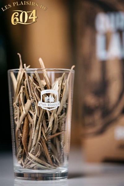 Cliquez pour agrandir