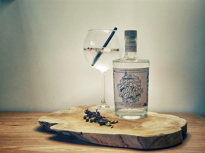 Cliquez pour agrandir