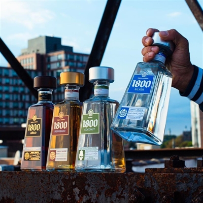 Cliquez pour agrandir