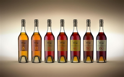 Cliquez pour agrandir