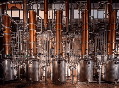 Cliquez pour agrandir